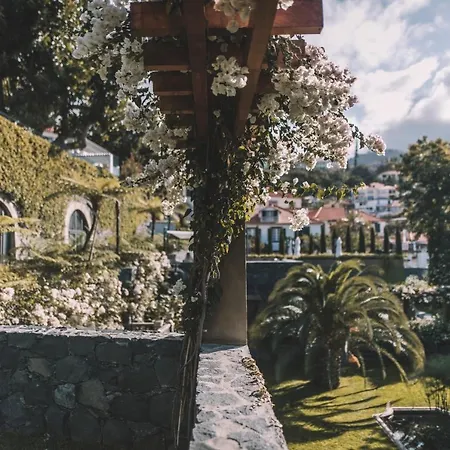 Quinta Torrinha Panorama 公寓