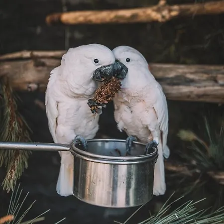Quinta Torrinha Panorama Appartement *